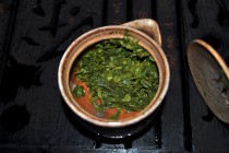 Shincha Leaves in Houchin