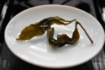 Shi Zuo Oolong Open Leaves