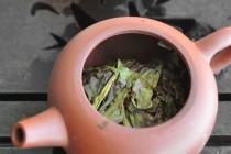 Intact Oolong Cake After 1st Steep