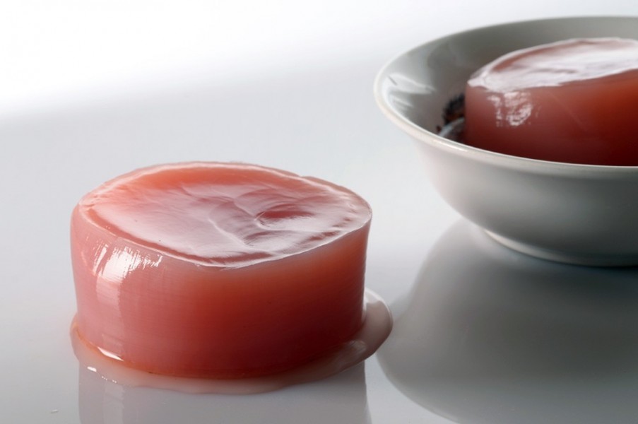 Kombucha Mushroom by Simon A. Eugster