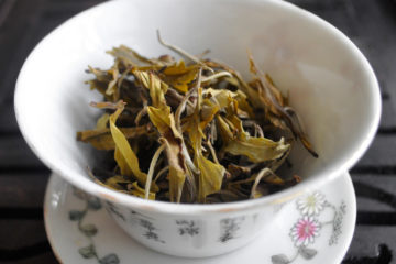 Big gaiwan with dry leaves